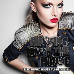 Rocking Down The House - Electrified House Tunes Vol. 11