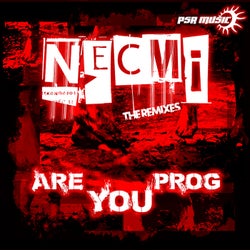 Are You Prog - The Remixes