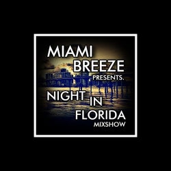 Miami Breeze - Night In Florida Mixshow Chart