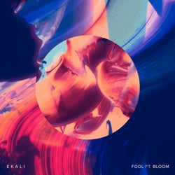 Fool (feat. Bloom)
