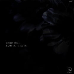 Sonic State