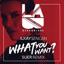What You Want (SUER Remix)