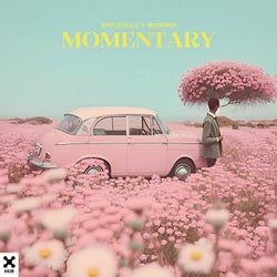 Momentary (Extended Mix)