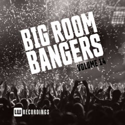 Big Room Bangers, Vol. 14