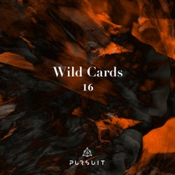 Wild Cards 16