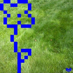 DLMA