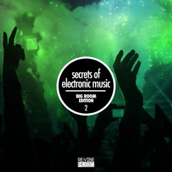 Secrets of Electronic Music - Big Room Edition, Vol. 2