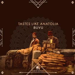 Tastes Like Anatolia
