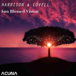Sun Blessed Vision
