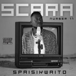 Spaisikwaito