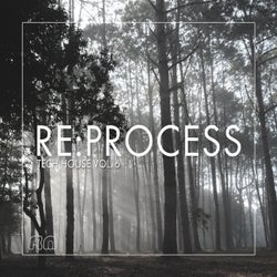 Re:Process - Tech House Vol. 6