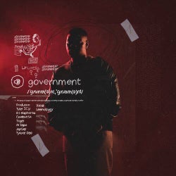 Government