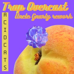 Trap Overcast (Uncle Gnarly Rework)