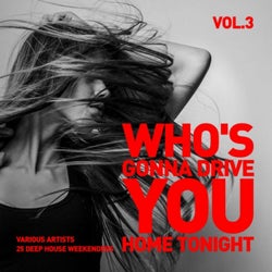 Who's Gonna Drive You Home Tonight (25 Deep-House Weekenders) Vol. 3