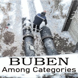 Among Categories