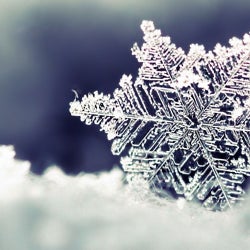 Winter Selections plus 2012 Favorites
