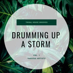 Drumming Up A Storm (Tribal House Grooves), Vol. 1