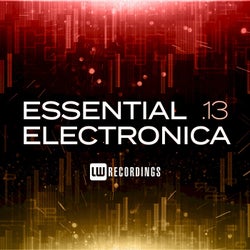 Essential Electronica, Vol. 13