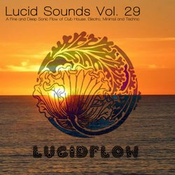 Lucid Sounds, Vol. 29 (A Fine and Deep Sonic Flow of Club House, Electro, Minimal and Techno)