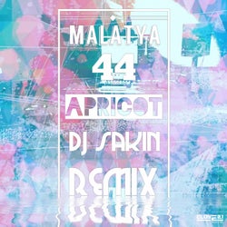 Apricot(DJ Sakin Remix)