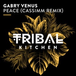 Peace (CASSIMM Remix)