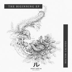 The Biginning EP