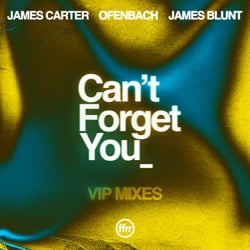Can’t Forget You (feat. James Blunt) (VIP Mixes)