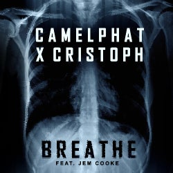 Breathe Chart