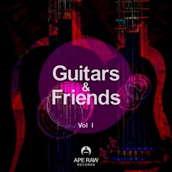 Guitars & Friends, Vol. 1