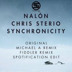 Chris Sterio Synchronicity Chart January 2024