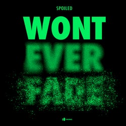 Won't Ever Fade (Paul Woolford Mix)