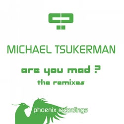 Are You Mad? (The Remixes)