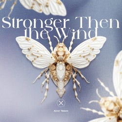Stronger Then the Wind