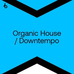 Best New Hype Organic House / Downtempo: Dec