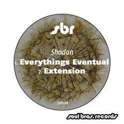 Everythings Eventual / Extension
