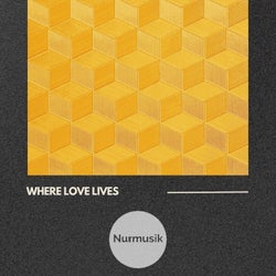 Where Love Lives