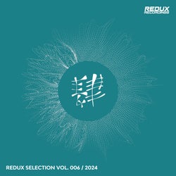Redux Selection, Vol. 6 / 2024
