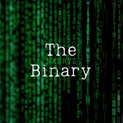 The Binary