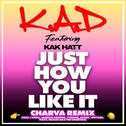 Just How You Like It (Charva Remix)