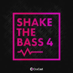 Shake the Bass 4