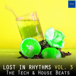 Lost in Rhythms, Vol. 3 (The Tech & House Beats)