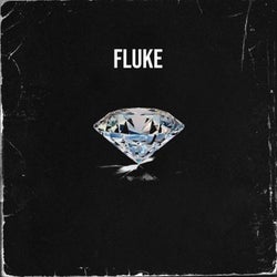 Fluke