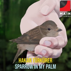 Sparrow in my palm