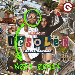 Désolée (Paris/Paname)[NRD1 Remix]