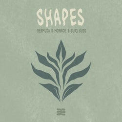 Shapes (Extended Mix)