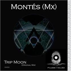 Trip Moon (Original Mix)