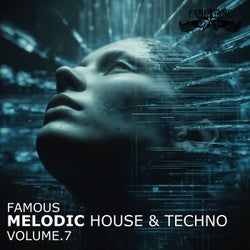 Famous Melodic House and Techno, Vol. 7