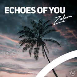 Echoes of You