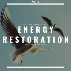 Energy Restoration - Tracks For Energy Balancing, Cleansing & Positivity, Vol.2
