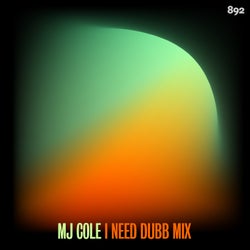 I Need - MJ Cole Dubb Mix
